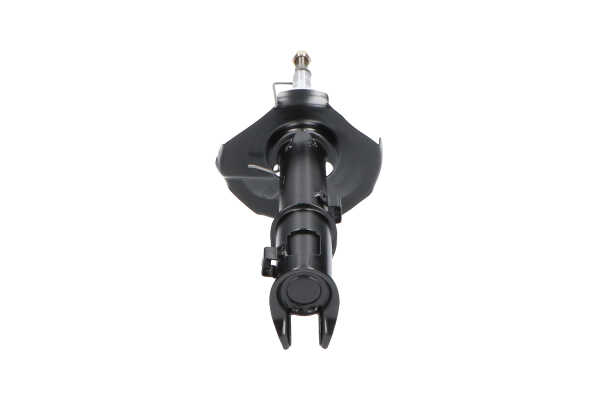 KAVO PARTS SSA-3025: Amortiguador Eje delantero, derecha, Presión de gas, Columna de amortiguador