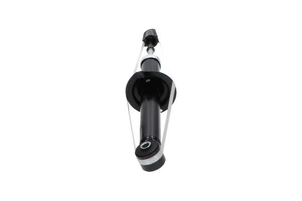 KAVO PARTS SSA-5516: Amortiguador Eje trasero, Presión de gas, Amortiguador con asiento de muelle