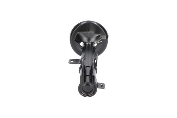 KAVO PARTS SSA-9081: Amortiguador Eje trasero, derecha, Presión de gas, Columna de amortiguador