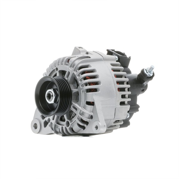 STARK SKGN-0320399: Kintamosios srovės generatorius 95A