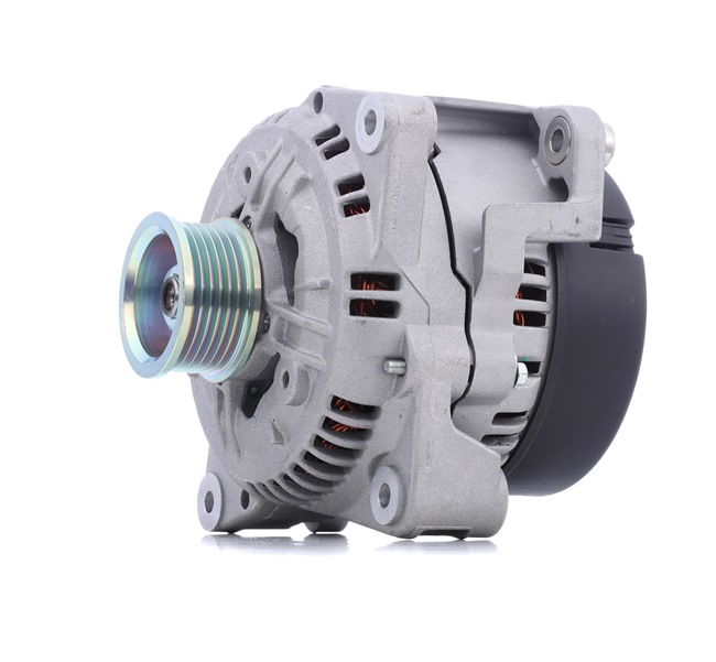 STARK SKGN-0320429: Laturi 80A