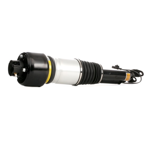 RIDEX 4118A0013: Luftfederbein Vorderachse links