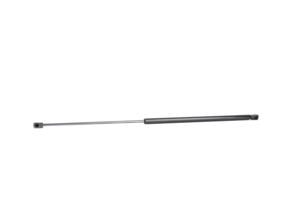RIDEX 514G0142: Motorhaubendämpfer vorne