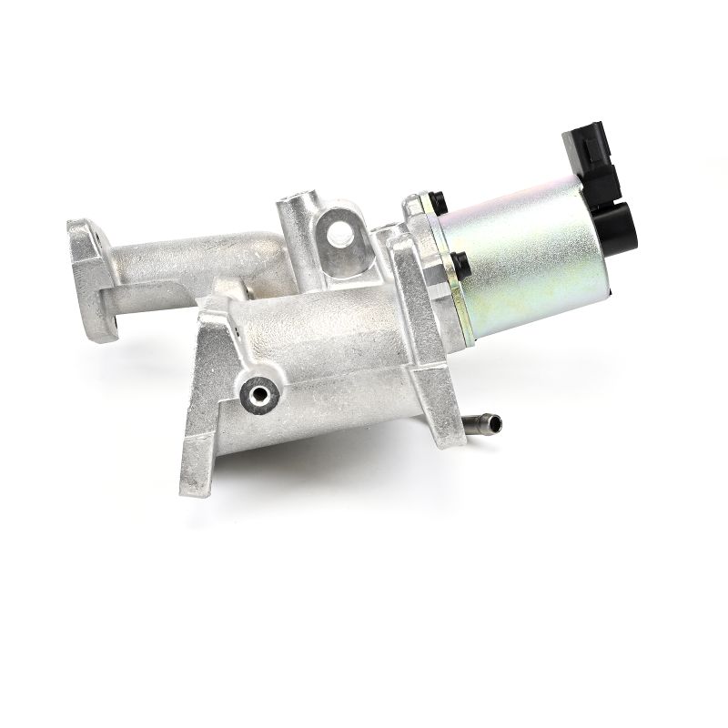 DELPHI EG10460-12B1: EGR klep