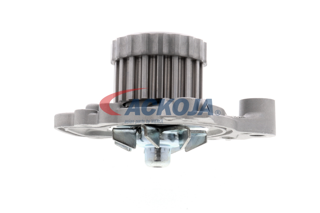 ACKOJA A26-50001: Wasserpumpe Green Mobility Parts Zähnez.: 19, mit Dichtung