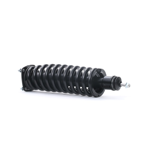 RIDEX 198S0004: Federbein