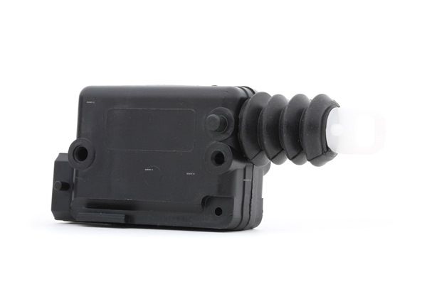 RIDEX 791C0007 Attuatore, Chiusura centralizzata RENAULT KANGOO Express (FC0/1_) 80 CV Diesel costo