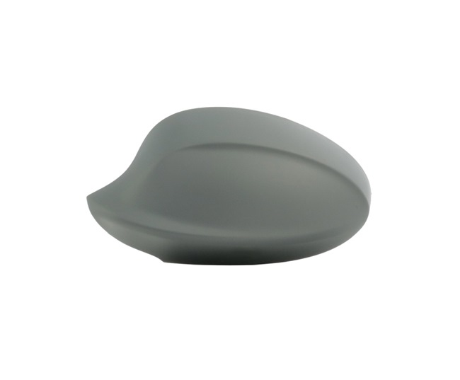 RIDEX 23A0106: Afdekking, buitenspiegel