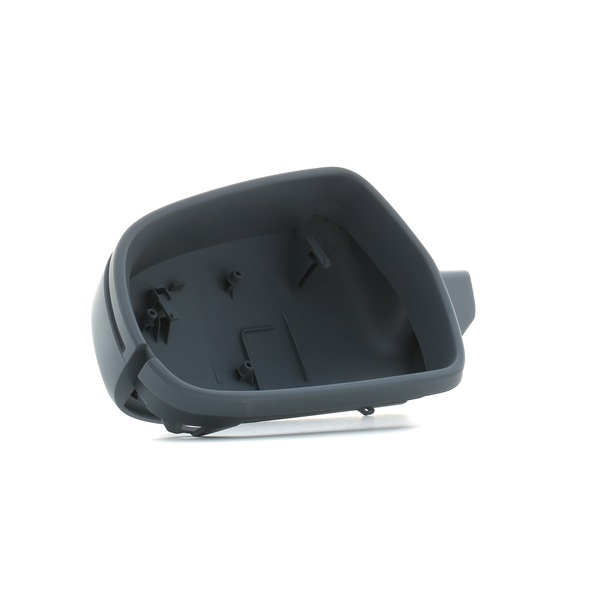 RIDEX 23A0107: Copertura, Specchio esterno