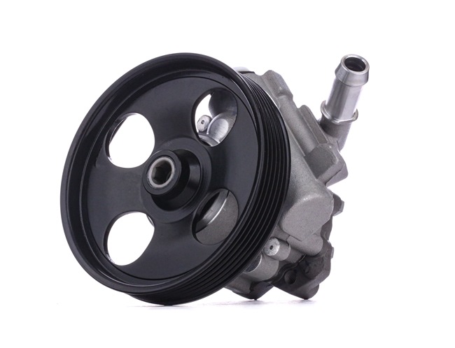 RIDEX 12H0167 Servopumpe CITROЁN C5 II Break (RE_) 163 PS Diesel Kosten