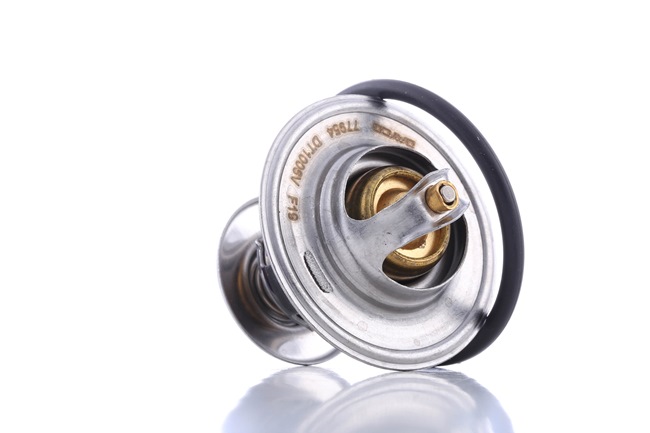 DAYCO DT1006V: Termostato, refrigerante 87°C, 54,0mm, 35,0mm