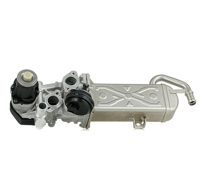 DELPHI EG10472-12B1: EGR-klapp