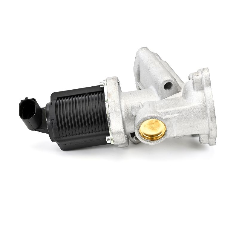 DELPHI EG10477-12B1: AGR - Ventil