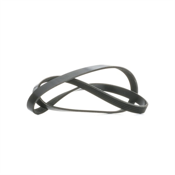MAPCO 251236E: Curea transmisie cu caneluri 1236mm, Numar nervuri: 5