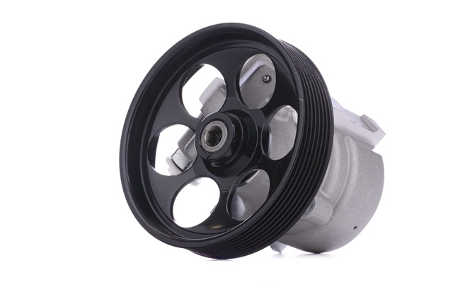 RIDEX 12H0189 Pompe de direction assistée RENAULT ESPACE 4 (JK0/1) 173 CV Diesel coût