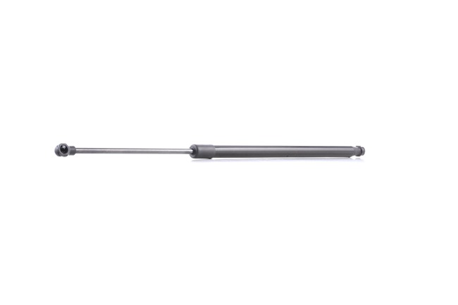 RIDEX 219G0910: Heckklappendämpfer