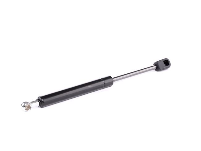 RIDEX 219G0917: Baklukedemper 280mm