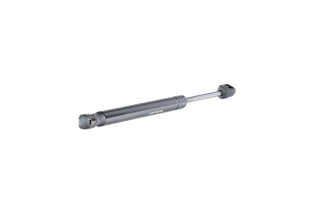 RIDEX 219G0918: Heckklappendämpfer 317mm