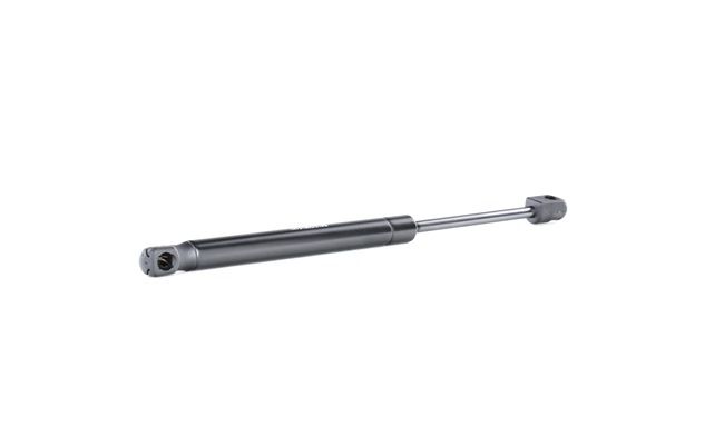 RIDEX 219G0922: Heckklappendämpfer 334mm