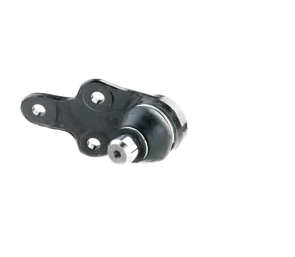 RIDEX 2462S0395: Fuseekogel Vooras rechts, 21mm