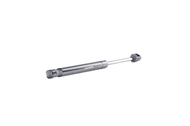 RIDEX 219G0928: Gasveer achterklep Achter, 305mm