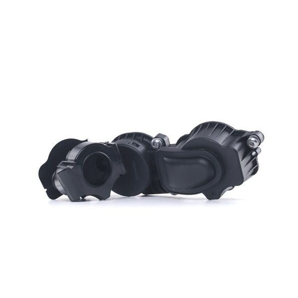 STARK SKVEB-3840013: Vārsts, Motora kartera ventilācija Cilindru galva, ar blīvēm, ar sauso inerces gaisa filtru, ar skrūvēm