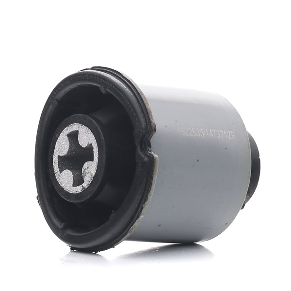 RIDEX 1080M0011 Suspensión, cuerpo del eje RENAULT MEGANE 1 Cabriolet (EA0/1) 107 cv Gasolina costo
