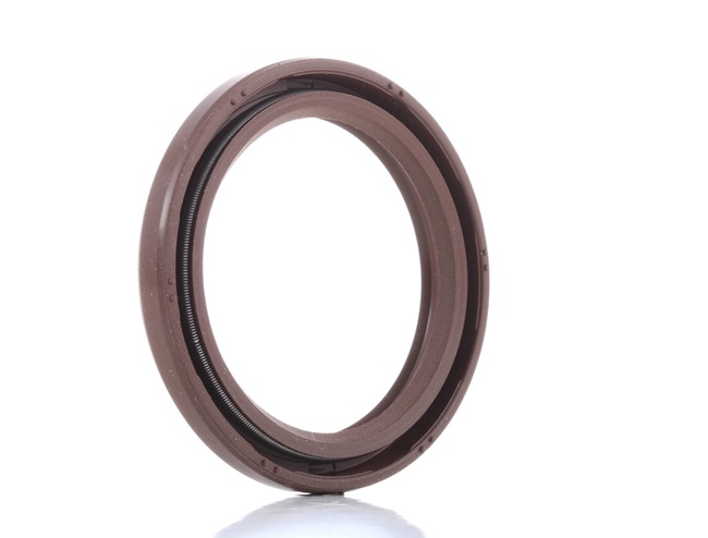 FEBI BILSTEIN 107668 Simring, veivaksel FORD KUGA 2 (DM2) 150 hk Bensin hva koster
