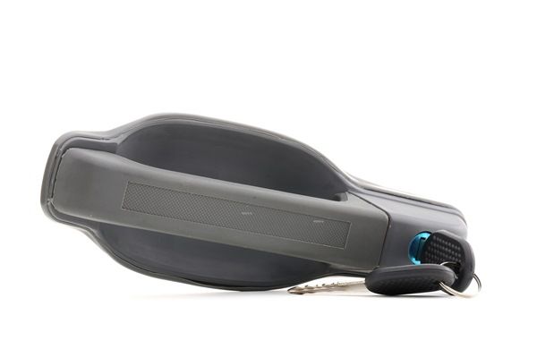 RIDEX 1373D0195: Maner usa fata stanga, exterior