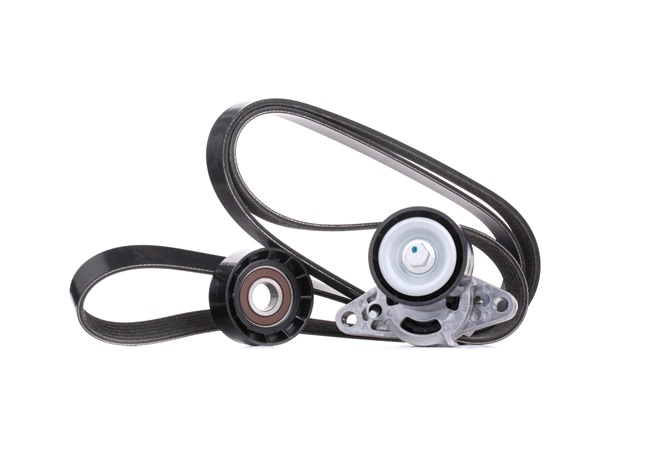 STARK SKRBS-1200055: Poly V-riem set