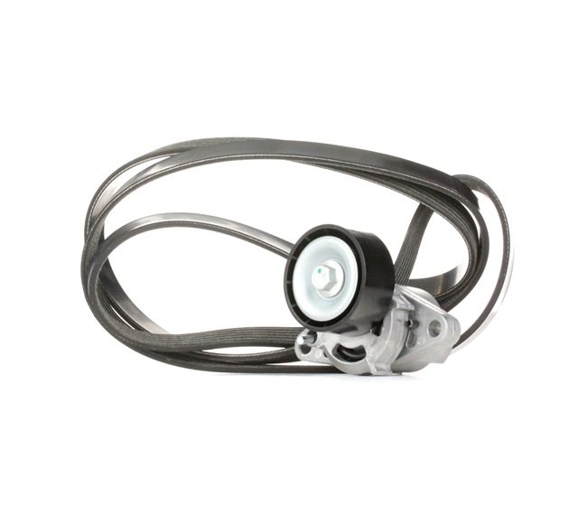 RIDEX 542R0056: Moniurahihnasarja