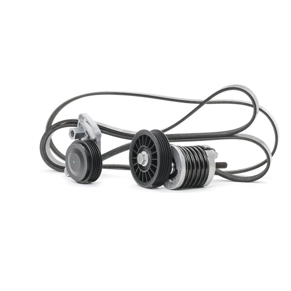 RIDEX 542R0060 Keilrippenriemensatz VW PASSAT Variant (3B5) 90 PS Diesel Kosten