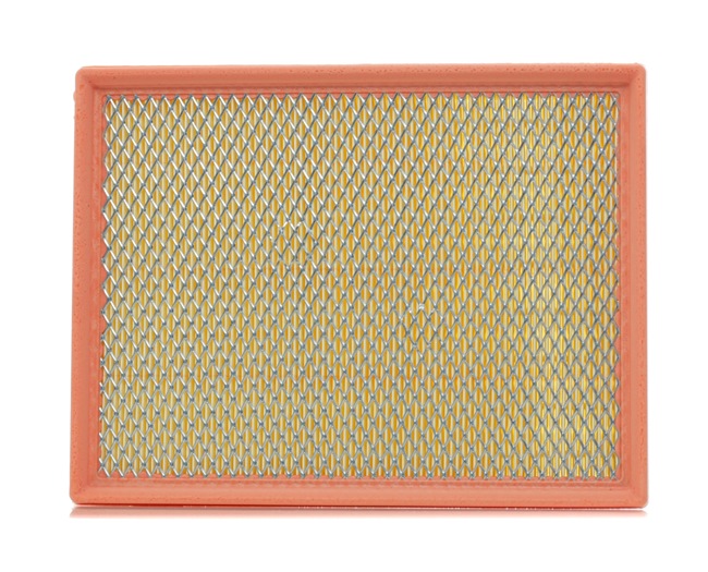 FILTRON AP 074/8: Luftfilter