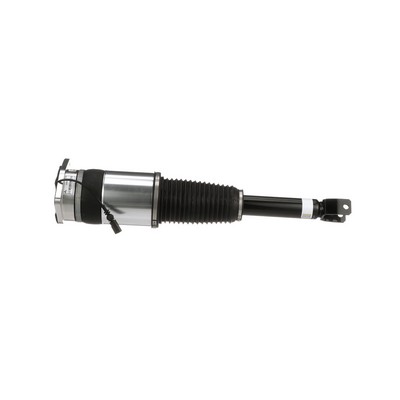 Arnott AS-3030: Luftfederbein Original Arnott Produkt hinten rechts