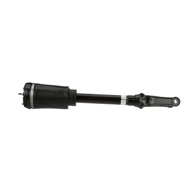 Arnott AS-3058: Amortiguador neumático Producto Original Arnott delante