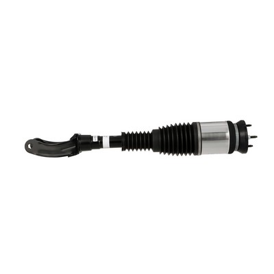 Arnott AS-3156: Luftfederbein Original Arnott Produkt vorne links
