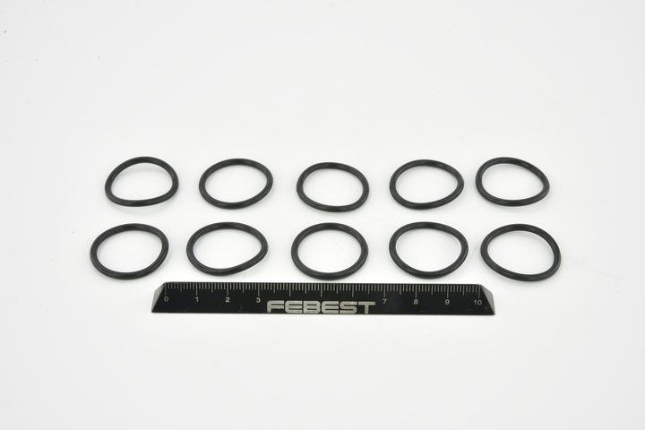 FEBEST RINGOL-059-PCS10: Tetning, oljepumpe