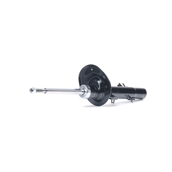 RIDEX 854S2294 Tlumič DS DS 3 82 HP Benzín cena