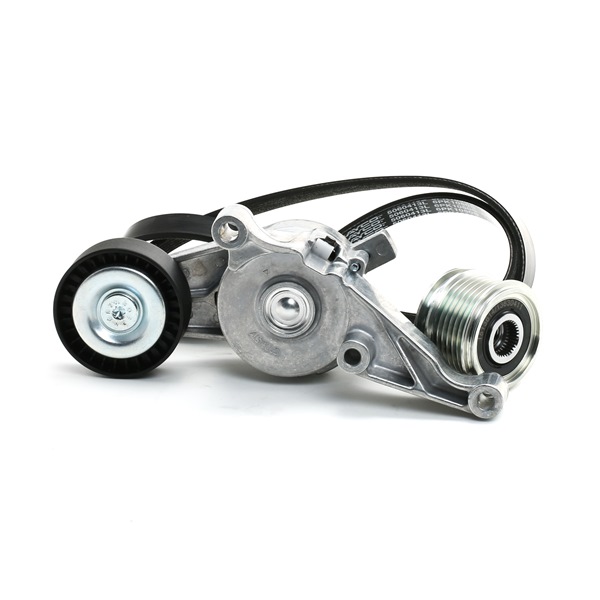 RIDEX 542R0064 Комплект пистов ремък VW Passat Variant (3C5) 140 K.C. дизел цена