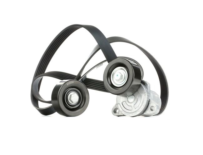 STARK SKRBS-1200066: Poly V-riem set