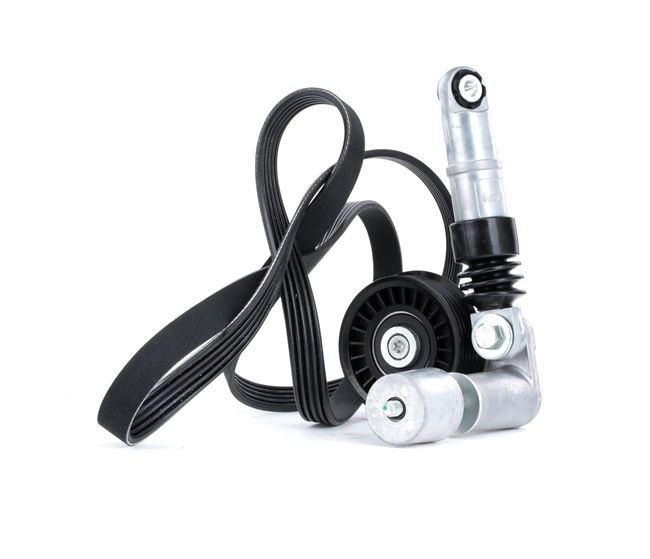 RIDEX 542R0069 Kit Cinghie Poly-V VOLKSWAGEN PASSAT Variant (3B5) 115 CV Diesel costo