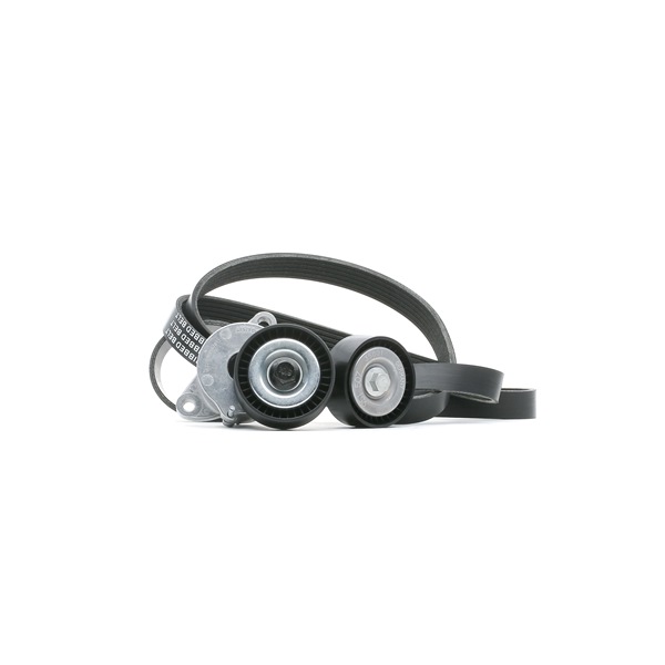 RIDEX 542R0076 Poly V-riem set OPEL INSIGNIA Saloon 195 Pk Diesel kosten