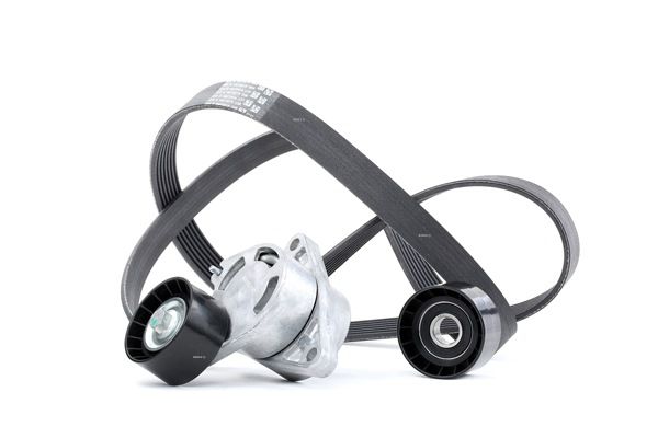 RIDEX 542R0081 Σετ ιμάντων poly-V RENAULT LAGUNA 2 (BG0/1) 150 PS Πετρέλαιο κόστος
