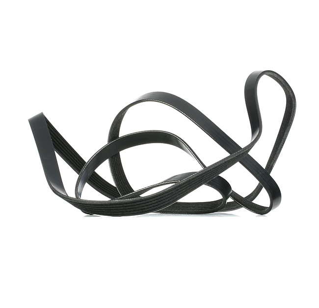 RIDEX 542R0084: Juego de correas trapeciales poli V