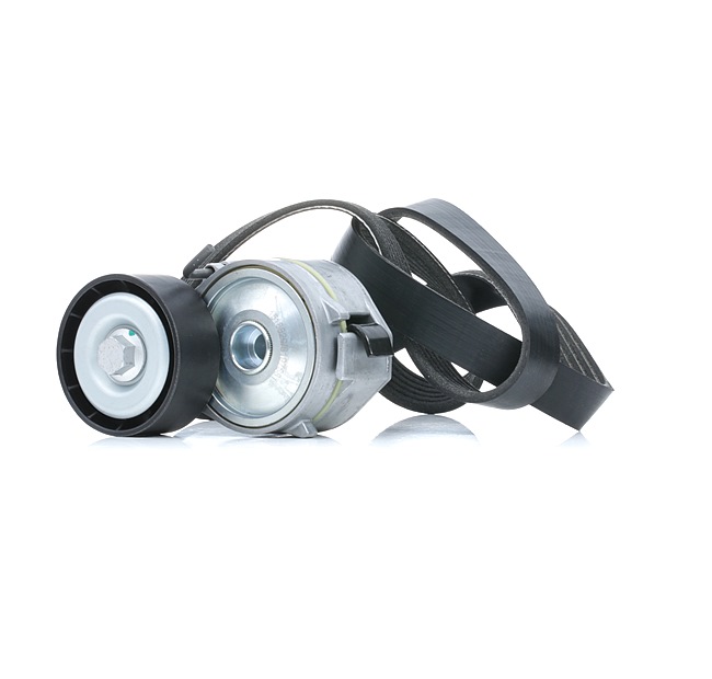 RIDEX 542R0085 Keilrippenriemensatz CITROЁN C5 3 (RD) 204 PS Diesel Kosten