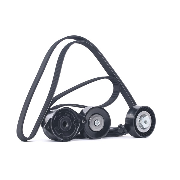 RIDEX 542R0089 Комплект пистов ремък BMW 7 (E65, E66, E67) 231 K.C. дизел цена