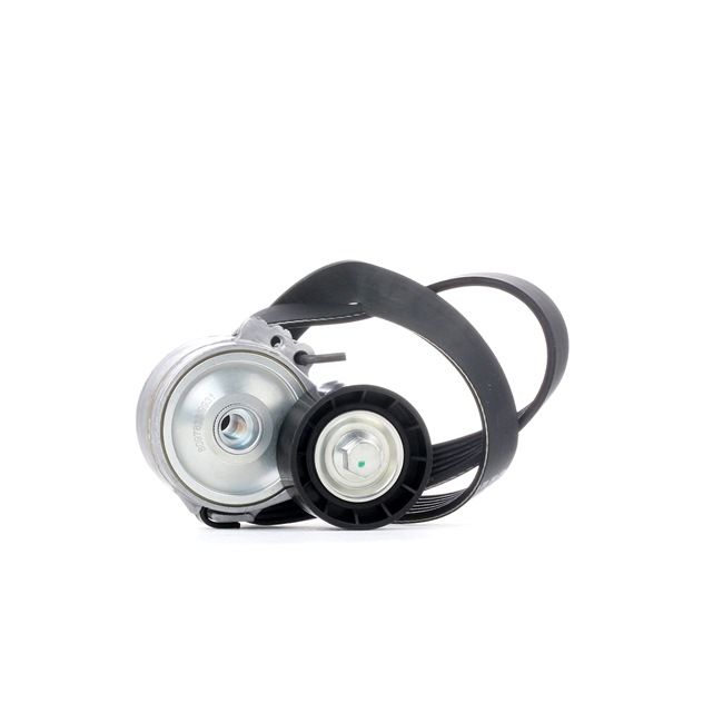 RIDEX 542R0092 Комплект пистов ремък PEUGEOT 307 (3A/C) 90 K.C. дизел цена