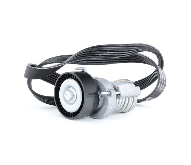 RIDEX 542R0093 Комплект пистов ремък VW Golf 5 (1K5) 80 K.C. бензин цена