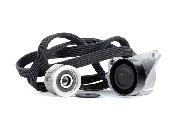 RIDEX 542R0096 Keilrippenriemensatz VOLVO S60 I (384) 140 PS Benzin Kosten
