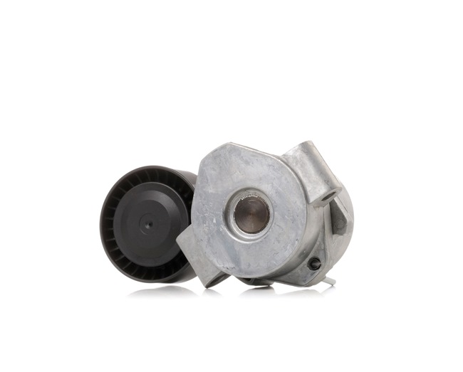 RIDEX 310T0289: Poulie, tendeur de courroie d'accessoire Ø: 65mm